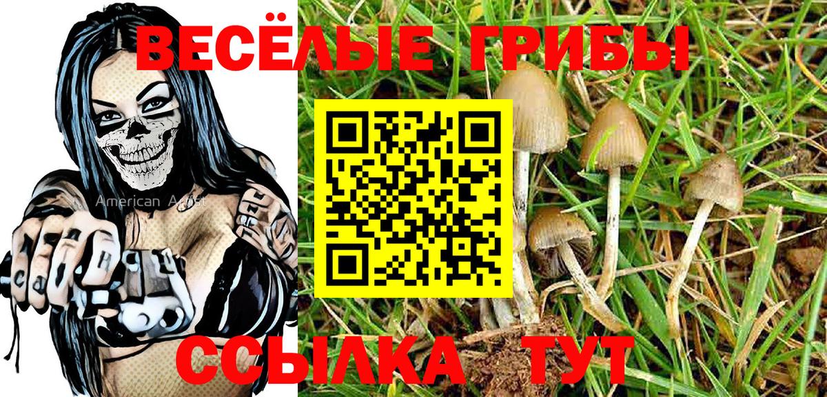 Псилоцибиновые грибы Psilocybe  закладка  Ижевск  Псилоцибиновые грибы Psilocybe  Вход с VPN 