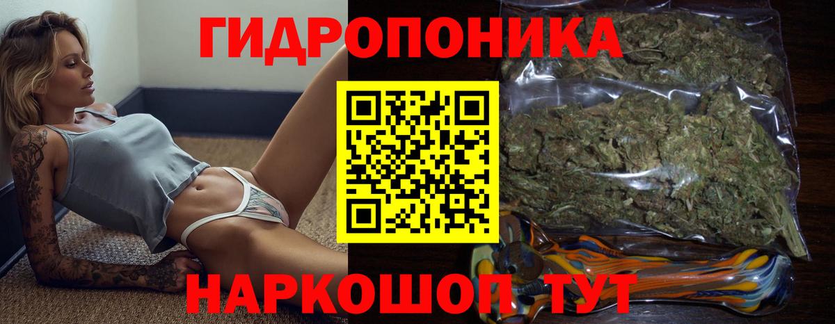 Конопля MAZAR  Конопля семена  Ижевск  Конопля ГИДРОПОН  Вход с VPN 